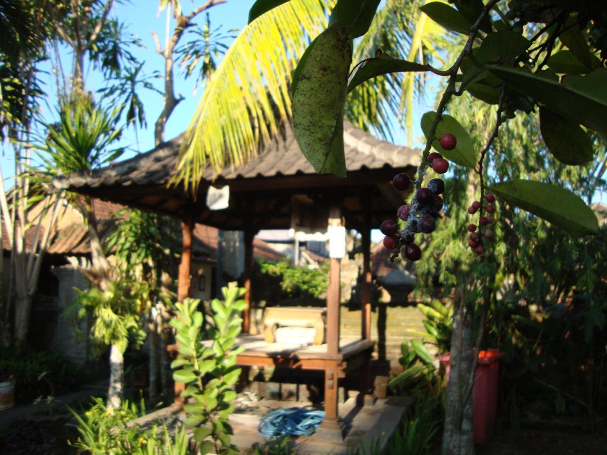 Gusti Home Stay Ubud 객실 사진